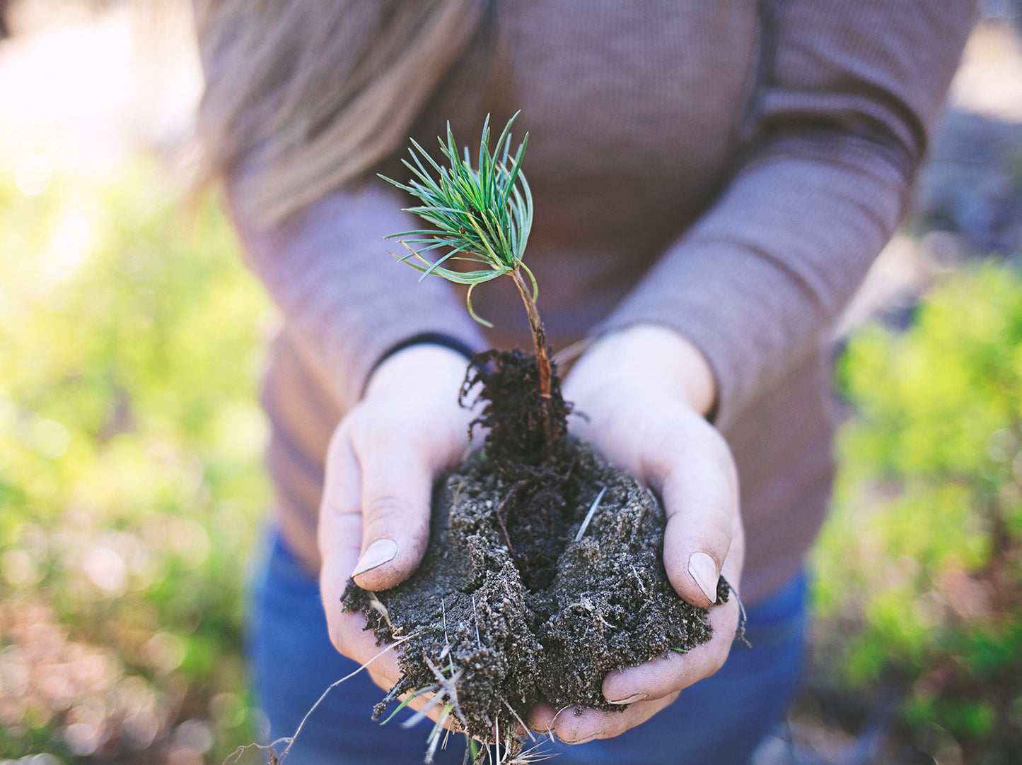 Nourish Your Body, Plant A Tree.